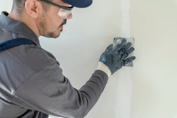 Best Drywall Sanding and Smoothing  in Watertown, MN